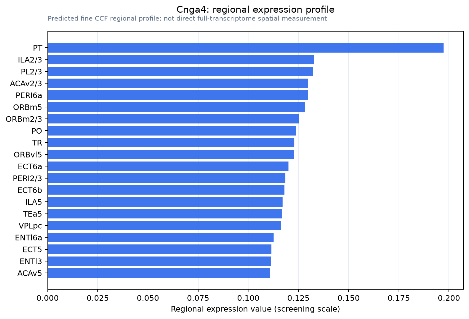Cnga4 regional expression profile