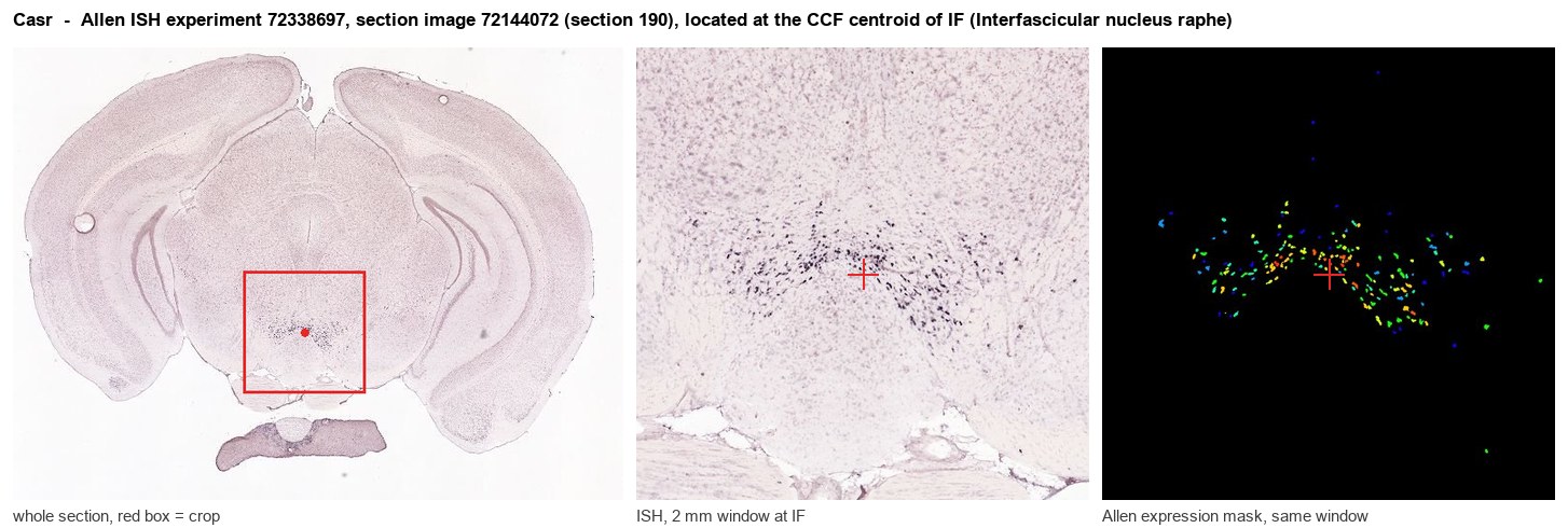 Casr Allen ISH at the CCF centroid of IF