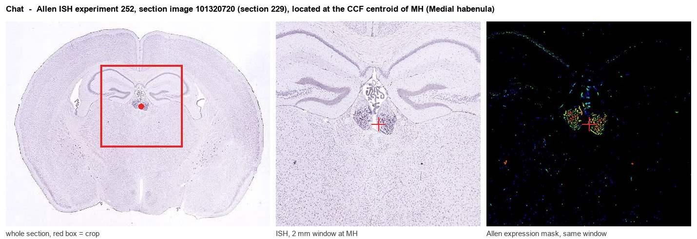 Chat Allen ISH at the CCF centroid of MH