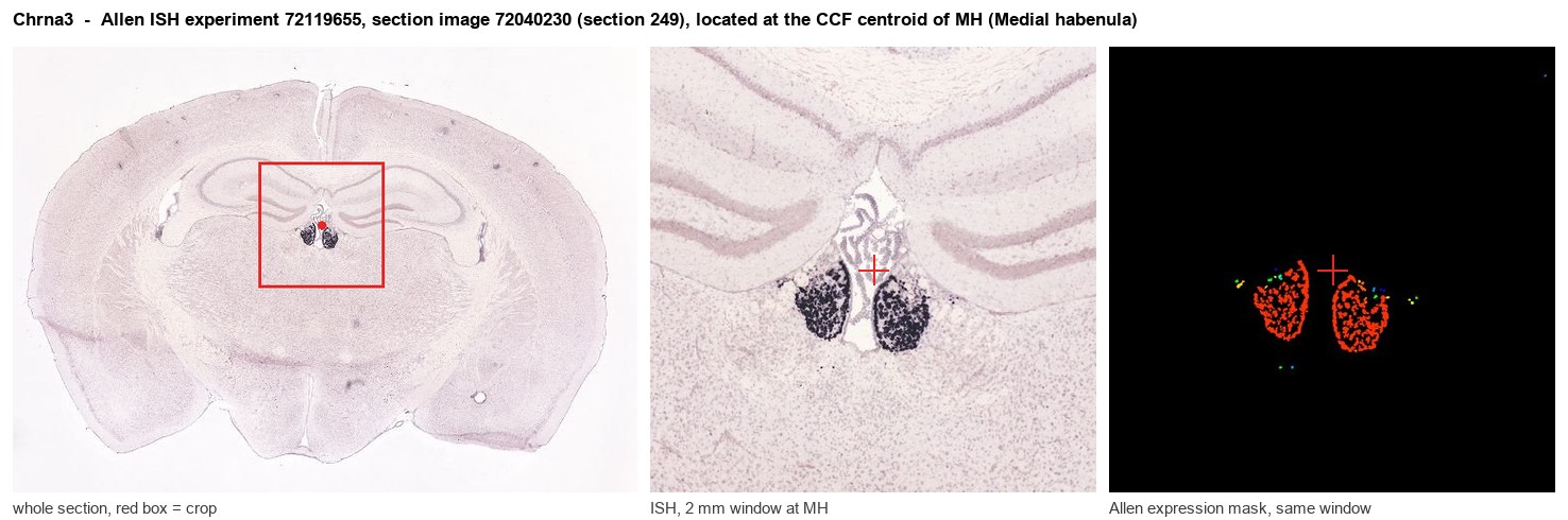 Chrna3 Allen ISH at the CCF centroid of MH