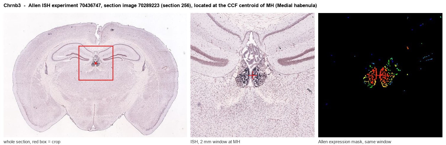 Chrnb3 Allen ISH at the CCF centroid of MH