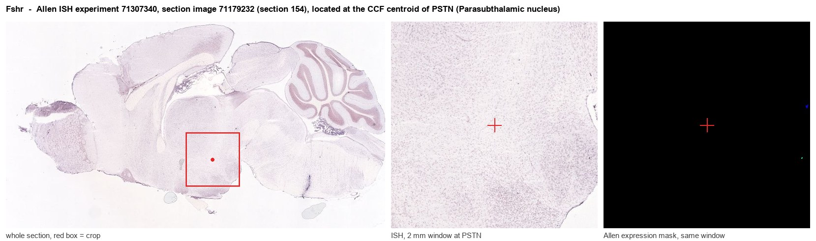 Fshr Allen ISH at the CCF centroid of PSTN