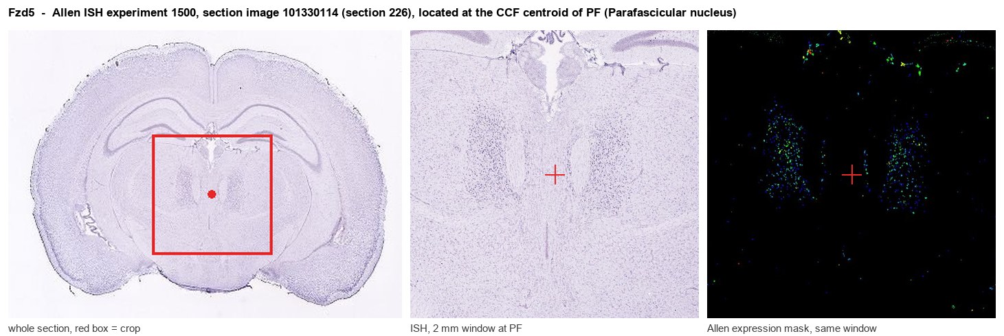 Fzd5 Allen ISH at the CCF centroid of PF
