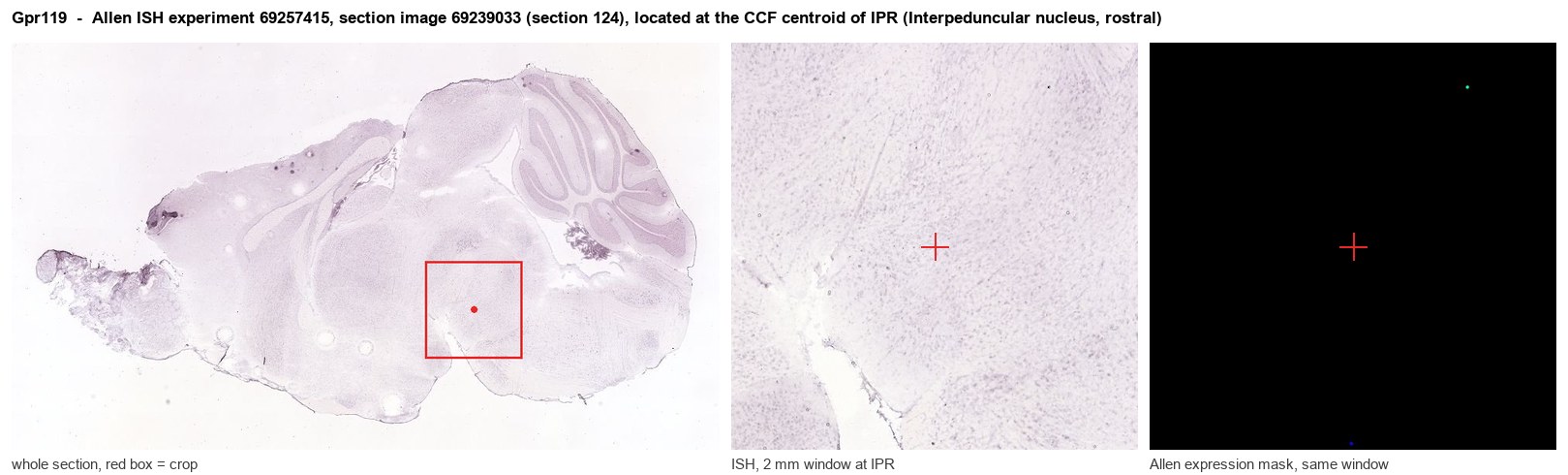 Gpr119 Allen ISH at the CCF centroid of IPR