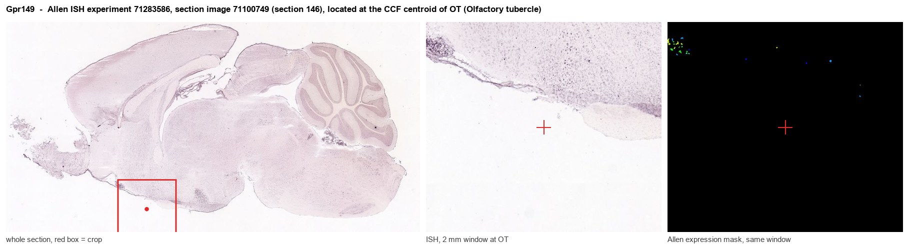 Gpr149 Allen ISH at the CCF centroid of OT