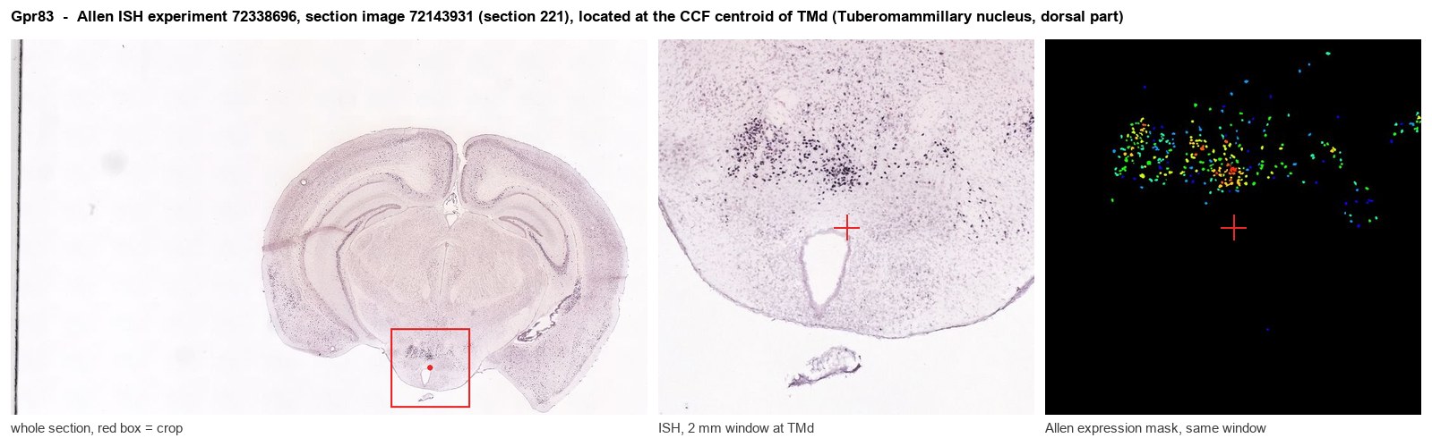 Gpr83 Allen ISH at the CCF centroid of TMd