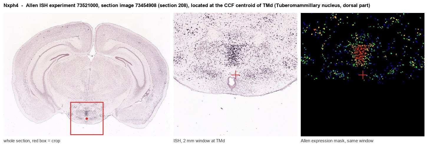 Nxph4 Allen ISH at the CCF centroid of TMd