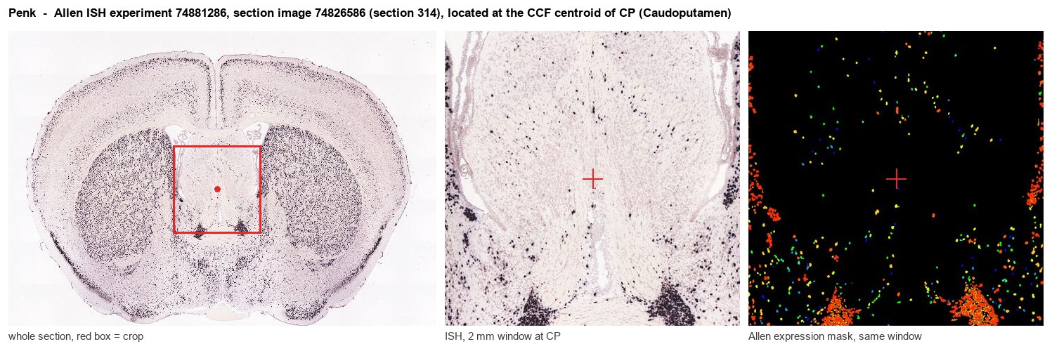 Penk Allen ISH at the CCF centroid of CP
