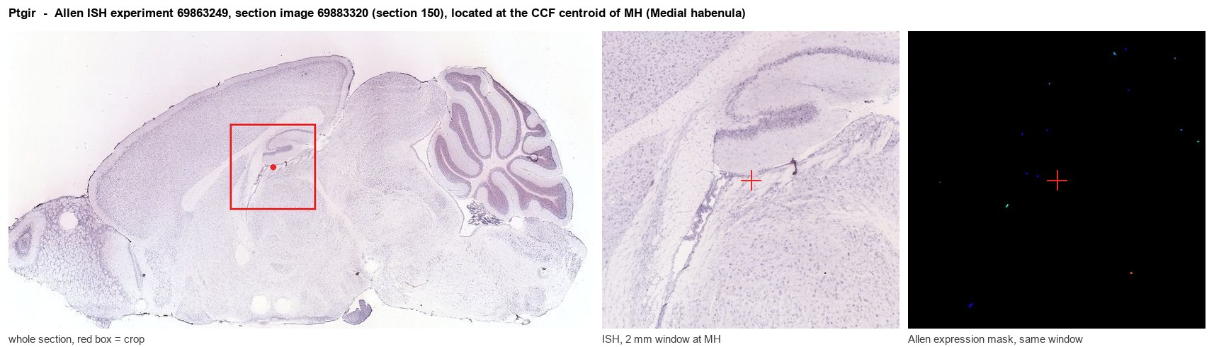 Ptgir Allen ISH at the CCF centroid of MH