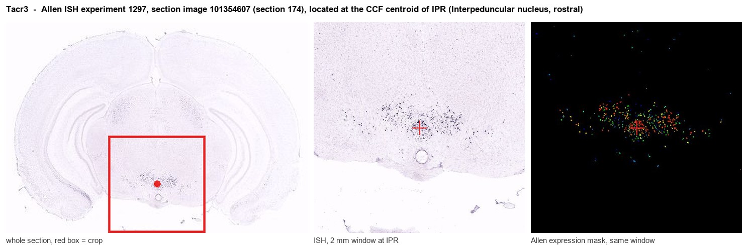 Tacr3 Allen ISH at the CCF centroid of IPR