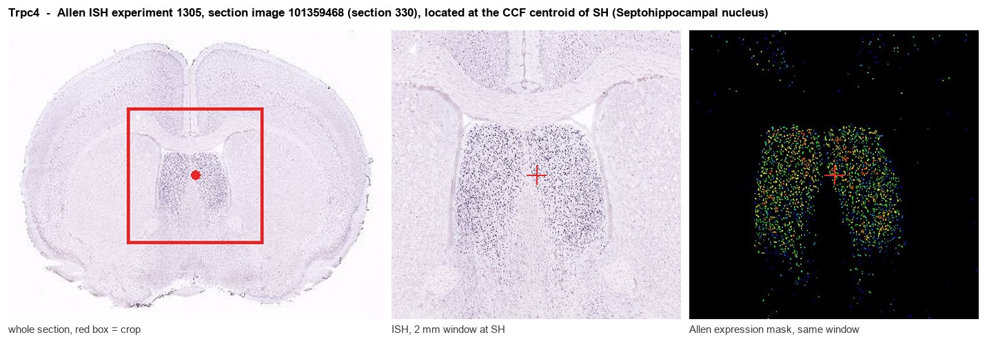 Trpc4 Allen ISH at the CCF centroid of SH