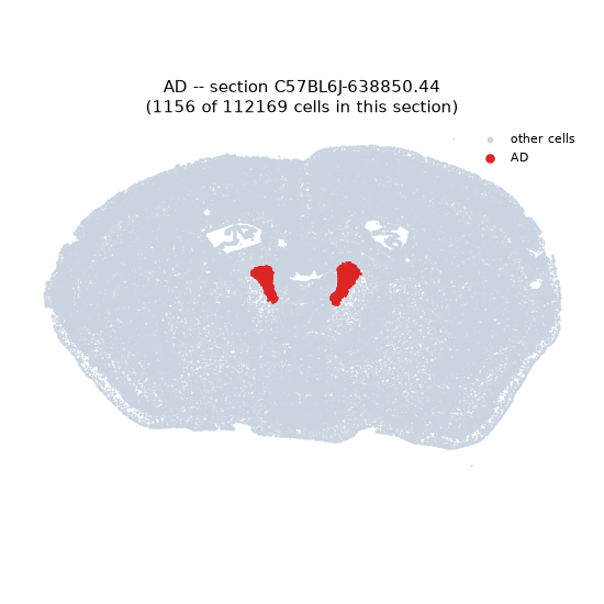 AD MERFISH region locator