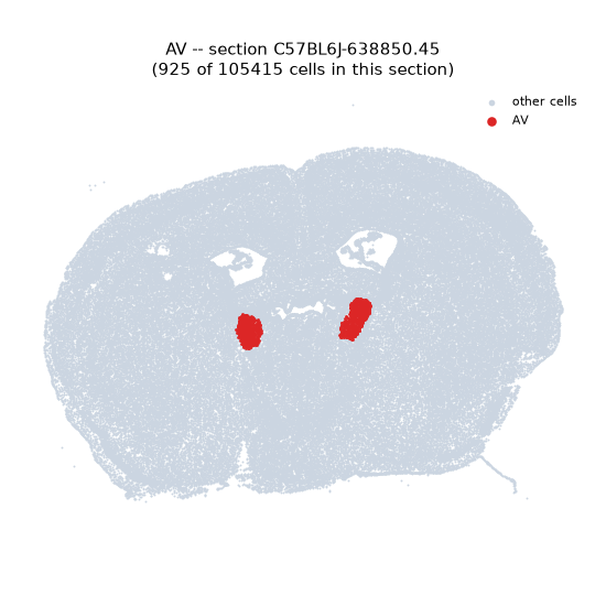 AV MERFISH region locator