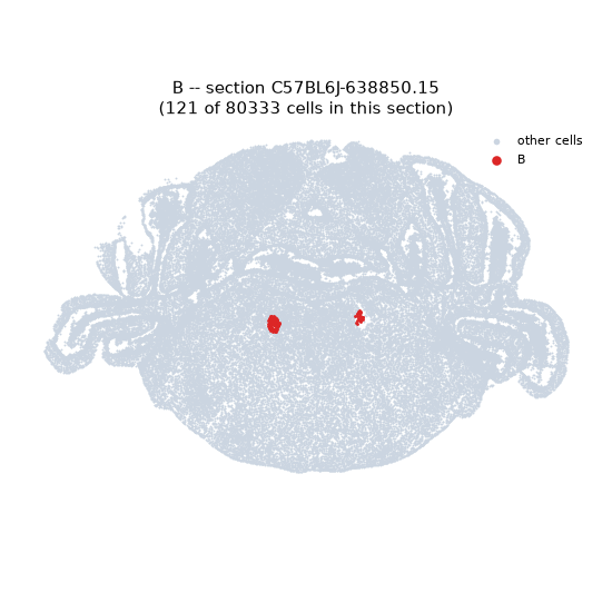 B MERFISH region locator
