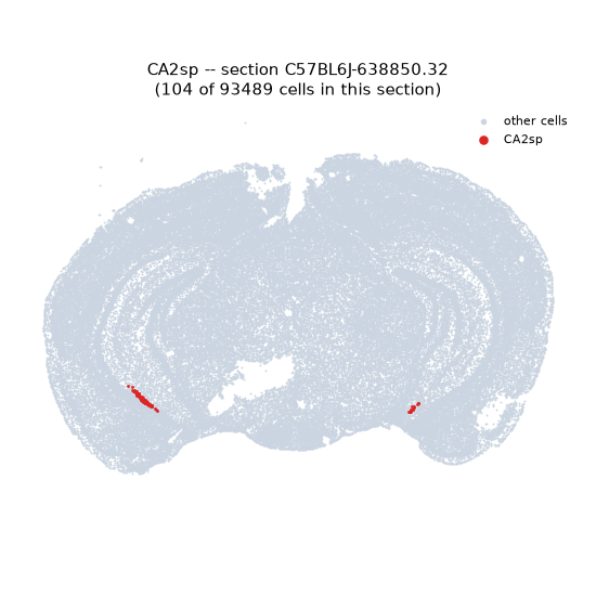 CA2sp MERFISH region locator