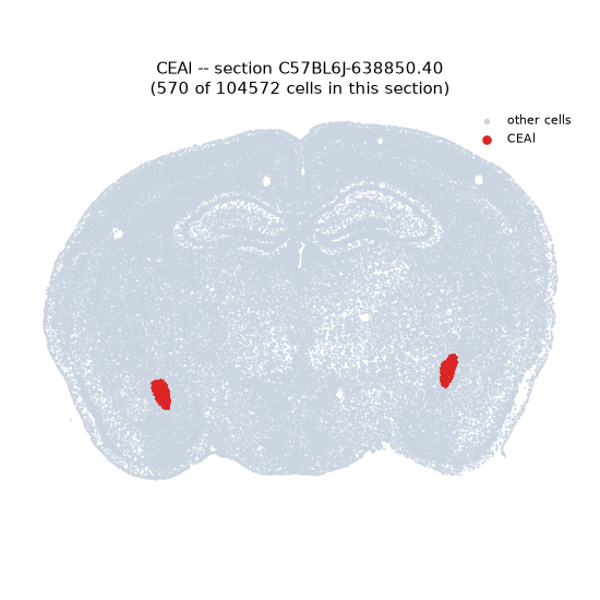 CEAl MERFISH region locator