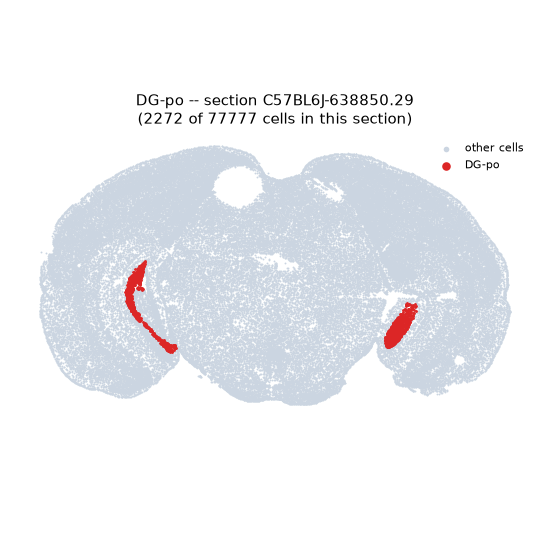 DG-po MERFISH region locator