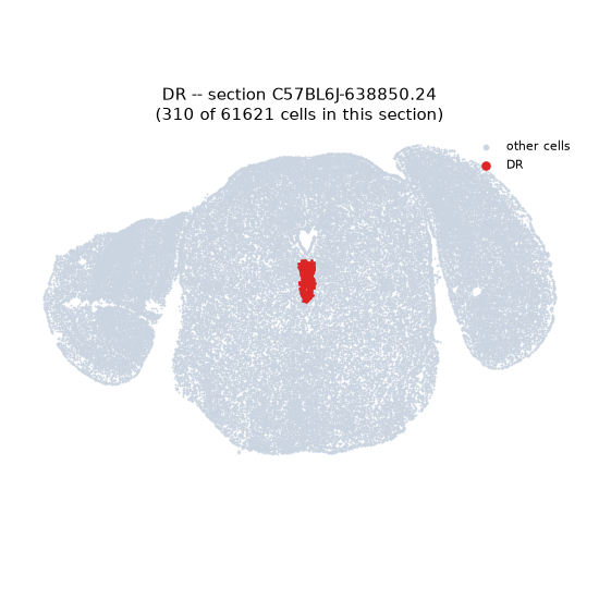 DR MERFISH region locator