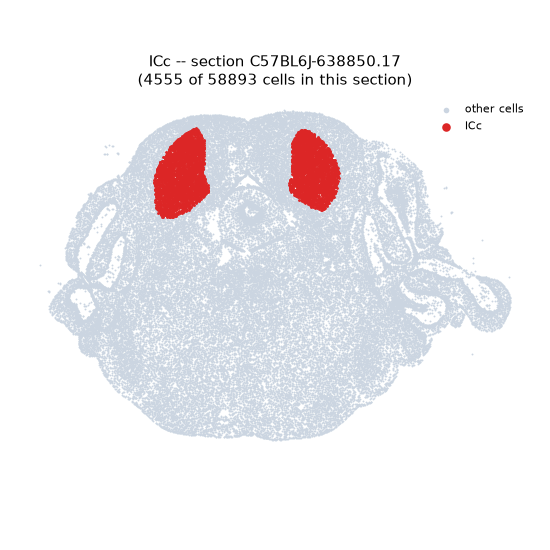 ICc MERFISH region locator
