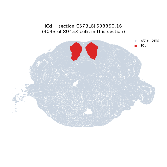 ICd MERFISH region locator