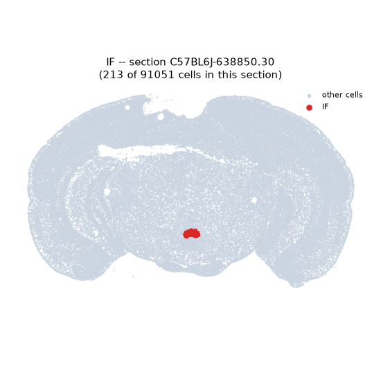 IF MERFISH region locator