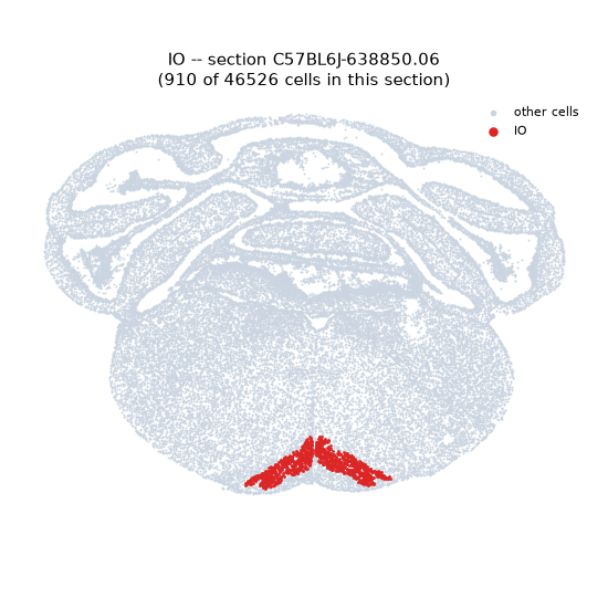 IO MERFISH region locator