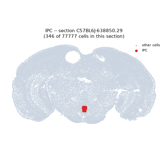 IPC MERFISH region locator