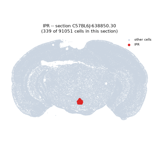 IPR MERFISH region locator