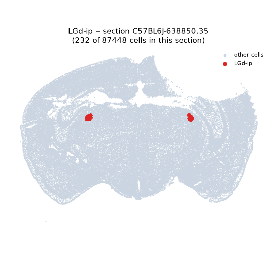LGd-ip MERFISH region locator