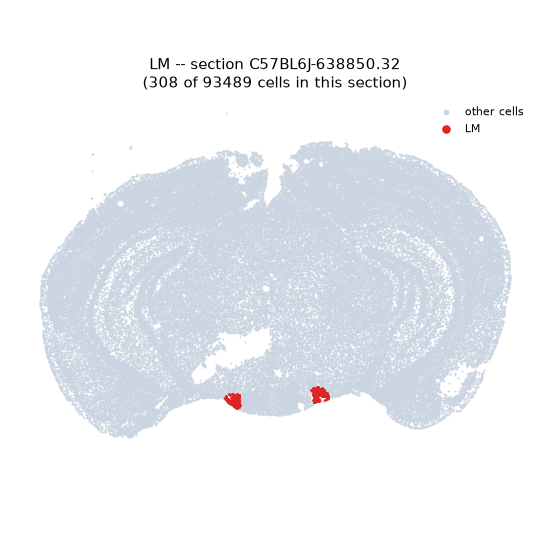 LM MERFISH region locator