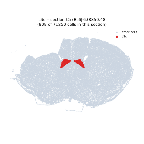 LSc MERFISH region locator