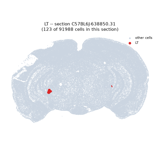 LT MERFISH region locator