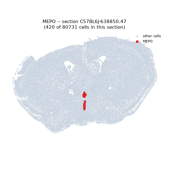 MEPO MERFISH region locator