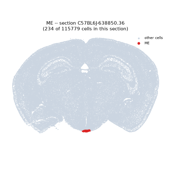 ME MERFISH region locator