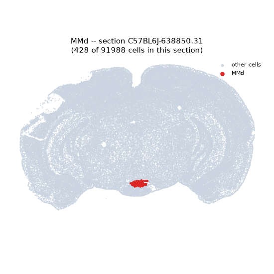 MMd MERFISH region locator