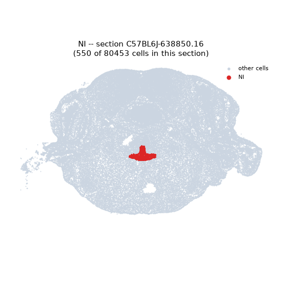 NI MERFISH region locator