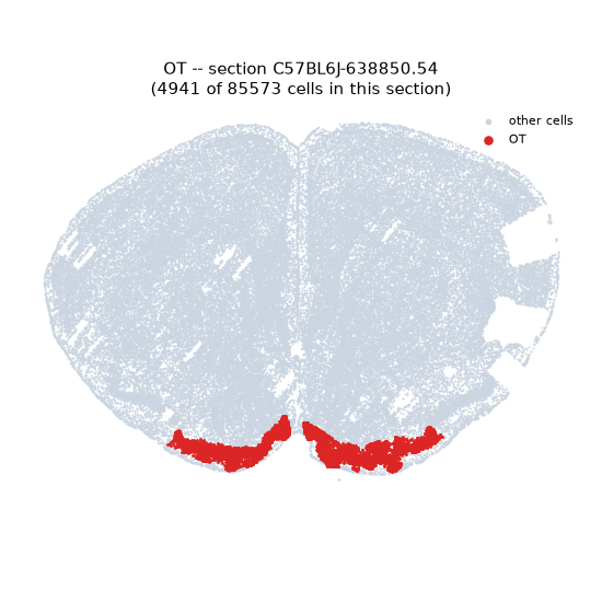 OT MERFISH region locator