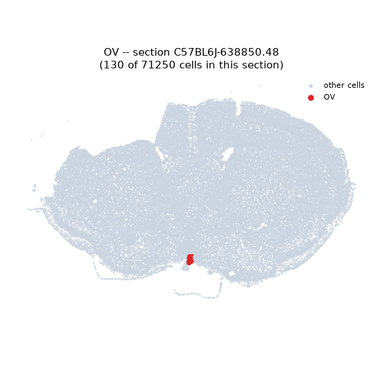 OV MERFISH region locator