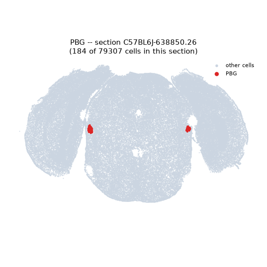 PBG MERFISH region locator