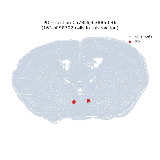 PD MERFISH region locator