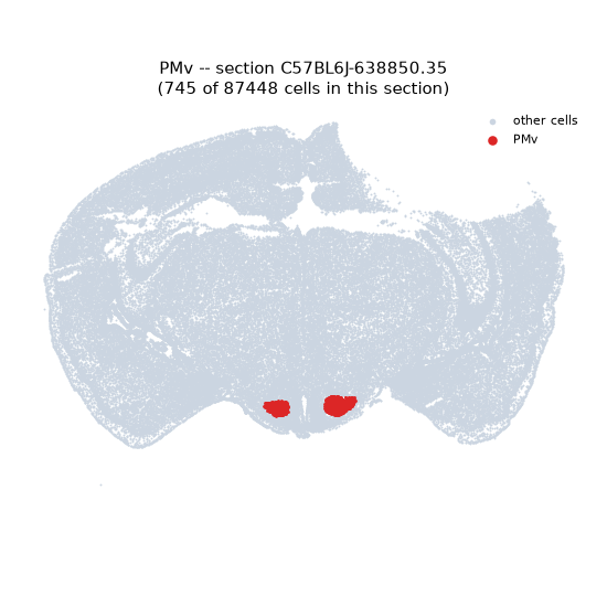PMv MERFISH region locator