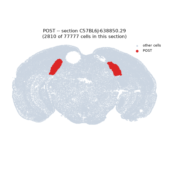POST MERFISH region locator
