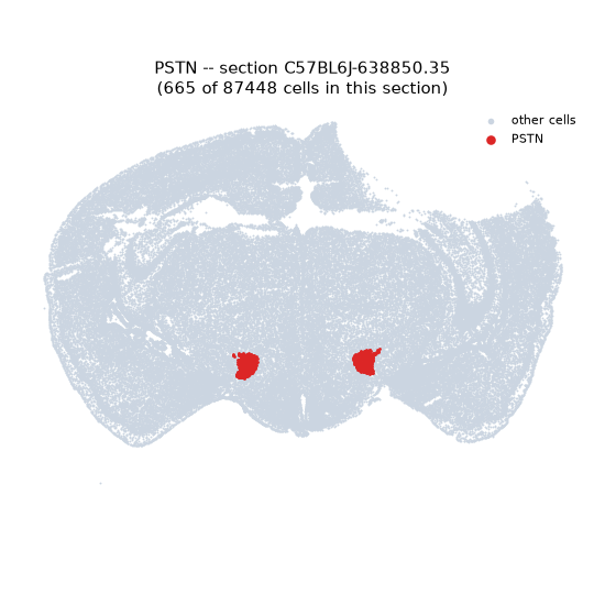 PSTN MERFISH region locator
