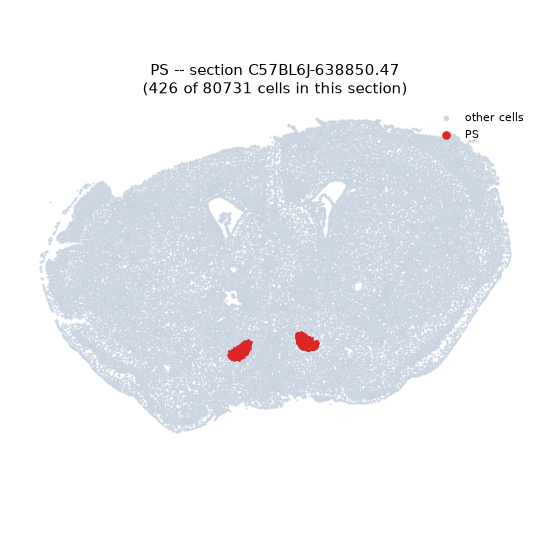 PS MERFISH region locator