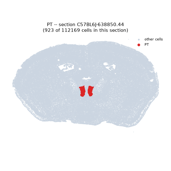 PT MERFISH region locator
