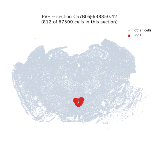 PVH MERFISH region locator