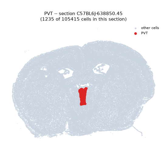 PVT MERFISH region locator
