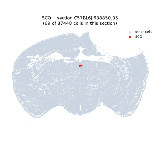 SCO MERFISH region locator