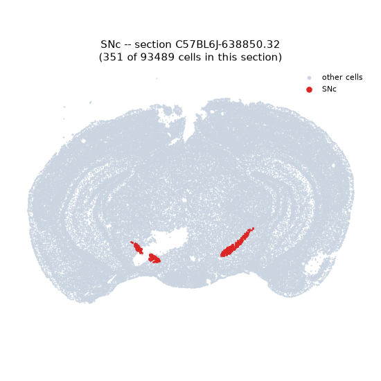 SNc MERFISH region locator