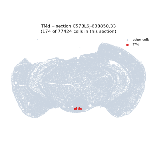 TMd MERFISH region locator